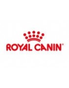Royal Canin